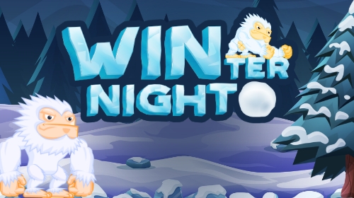 Winter night