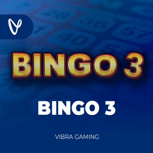Bingo 3
