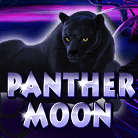 Panther Moon