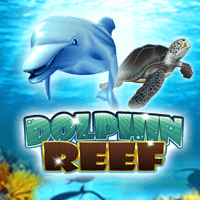 Dolphin Reef