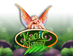 Magic Forest